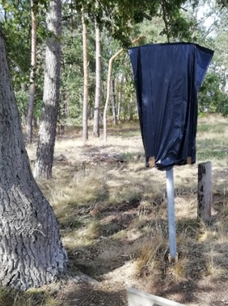 Eine Karte auf der die verwunschenen Orte eingezeichnet sind