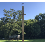 Eine Karte auf der die verwunschenen Orte eingezeichnet sind